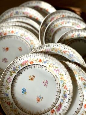 Antique C.T. Germany Floral B and B Plates Set 12 Gold Gilt Victorian Porcelain